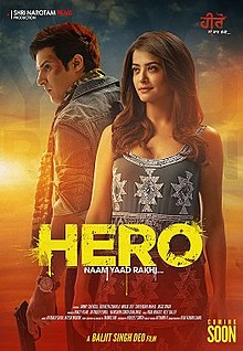 Hero Naam Yaad Rakhi 2015 DvD Rip full movie download
